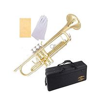 Glory Brass Bb Trumpet with Pro Case +Care Kit, Gold, No NEED TUNING,Play directlly. More COLORS Available ! CLICK on LISTING to SEE All Colors
