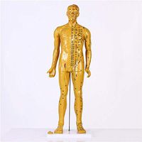 BIUYYY Copper Human Acupuncture Model Pressure Point and Meridians - for Acupuncturists and Other Medical Professionals, 85Cm