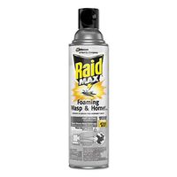 Raid Max 77726 Insect Killing Foam Wasps & Hornet, 13 Oz