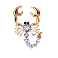 Vintage Unisex Cute Jacket Accessories Brooch Scorpion Pin Jewelry Ornaments Daily Popular Creation Aesthetic Beauty Style Womans Accesories Styling Delicate