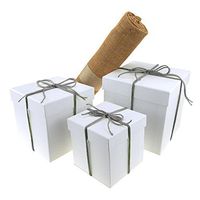 Homeford Tree Skirt Bundle with White Square Nested Gift Box, 5-Piece Set (Silver)