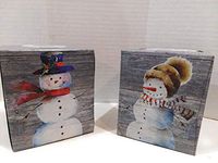 Christmas Holiday Facial Tissues Decorator Packages 2 Pack Bundle Set Rustic Farmhouse Birch Logs (Barnwood Snowman)