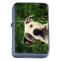 Dog Pit Bull 05 Oil Lighter