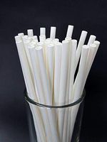 Paper Straws 100-Pack Biodegradable Drinking Straws (White)