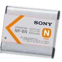 Sony Rechargeable Batt PK