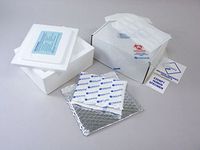 380126G - Protected Ambient Cat. B Shipper with Cooler, Foil Pouch, and Small Gel Wrap - Protected Ambient Category B Shipping Systems, Therapak - Case of 12
