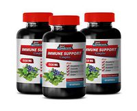 Immune Force - Immune Support Complex 1550MG - Natural Formula - Premium Blend - Stop Free Radical Damage - Turmeric Bulk - 3 Bottles (180 Capsules)