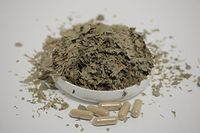 Bilberry Herbal Capsules