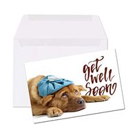 Get Well Soon with Dog Note Card - 4 x 6 Folded Note Card