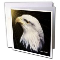 3dRose American Bald Eagle - B - Greeting Cards, 6 x 6 inches, set of 12 (gc_8391_2)