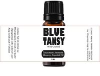Sweet Sunnah Blue Tansy Essential Oil (Tanacetum annum) Sourced Natural from Morocco Aromatherapy, 100% Pure Undiluted Therapeutic Grade 5 mL