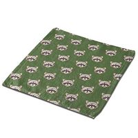 None Branded Raccoon Head Microfiber Dish Cloths Quick Dry Hand Drying Towels Dust Wipes for Washing Dishes Dish Rags Best Kitchen Cloths Cleaning Cloths 2 PCS