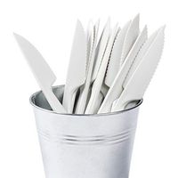 Royal Heavy Weight ABS Knives, Case of 1000