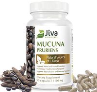 Mucuna Pruriens Capsules (1100 mg) – L Dopa Mucuna Advanced Mucuna Pruriens Powder & Velvet Bean Extract Formula – by Jiva Botanicals (90 Capsules)