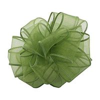 Berwick ISS-009-50-KIK Kiwi Wired Edge Ribbon