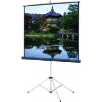 Carpeted Picture King Matte White Portable Projection Screen Viewing Area: 96" H x 96" W