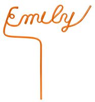 Custom Namesake Straw (Orange) Up to 8 Letters - Any Word - Personalized Gift (Reusable & Recyclable) - Name Straws
