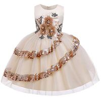 Driuankeji Girls Vintage Floral Lace Sleeveless Floor Length Dress Wedding Evening Party Formal Pegeant Dance Gown Beige