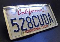 Car License Plate with LED Light for License Plate (Chrome)
