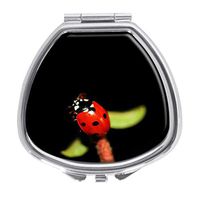 Udoosun Lady Bug Climb Decorative Boxes Pill Box Silver Single Compartment Pocket Purse Travel Pill Case Medicine Tablet Holder Wallet