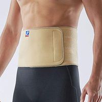 LP SUPPORT Back Support (HIGH Back)