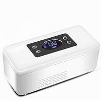 L&WB Portable Insulin Cooler Mini Medicine Refrigerated Case with Car USB Charging 2~20°C