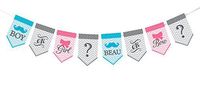 Lillian Rose Baby Gender Reveal Bunting Banner, Pink/Blue/Grey, 45"