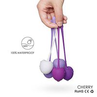 Skuleer - 5pcs Silicone Kegel Exercise Weight Training Kit for Women Pelvic Floor Exercises Bladder Control System