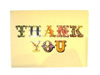 Punch Studio 12 Blank Thank You Note Cards with Gold Foiling, Includes Matching Lined Envelopes