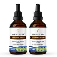 Echinacea Angustifolia Tincture Alcohol-Free Liquid Extract, Responsibly farmed organic Echinacea (Echinacea Angustifolia) Dried Root (2x4 FL OZ)