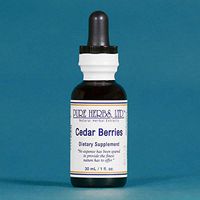 Cedar Berries - 1 OZ (Natural Herbal Extracts)