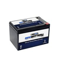 12V 12AH Sealed Lead Acid (SLA) Battery for Emergency Exit Lighting
