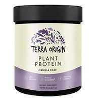 Terra Origin, Plant Protein, Powder, Vanilla Chai, 15 Servings Includes Organic Brown Rice Protein and Pea Protein Isolate, Vegan, Gluten Free, 18g Protein