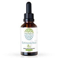 Echinacea Root B60 Alcohol-Free Herbal Extract Tincture, Responsibly farmed Organic Echinacea (Echinacea Purpurea) Dried Root (2 fl oz)