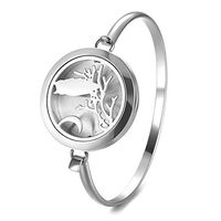 Garden Charms Aromatherapy Diffuser Locket Bracelet 316L Stainless Steel Bangle Magnetic Randomly Send 5pcs Oil Pads GCVA-728 (B)