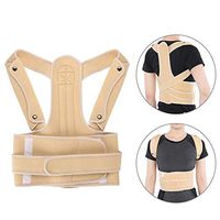 ZJchao Posture Corrector Back Brace Adjustable Support Correction Belt Waist Shoulder Chest for Men Women Kids(L)
