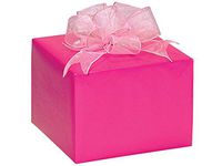 Gloss Color Gift Wrap Paper - Hot Pink Gloss 24"x85' Solid Color Gift Wrap Cutter Box (1 Box) - Wraps -591285