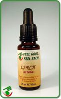 Feel Bach! Flower Larch 20 ml