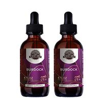 Earth's Love - Burdock Alcohol-Free Herbal Extract Tincture, Super-Concentrated Organic Burdock (Arctium Lappa) Dried Root (2x4 Fl Oz)
