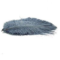 KOLIGHT10pcs Ostrich Feather Gray 10"-12" Natural Feathers Wedding, Party,Home,Hairs Decoration