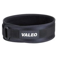 Valeo VA4684SM Performance Low-Profile Back Support, Small, 22-29" Waist Size, 4" Wide, Nylon