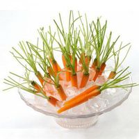 Obsidian 30PCS Mini Type Finger Carrot Seeds Thumb Radish