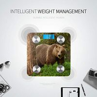 Brown Bear Walking in Forest Body Fat Weight Scale Bathroom Scale Bathroomscale Tracks 8 Key Compositions Analyzer Sync with Fitness Apps 400 Lbs