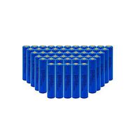 10450 Battery 3.6V AAA ER10450 700mAh Li-SOCl2 Battery 50pcs