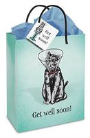 Get Well Soon Cone Kitty Gift Bag