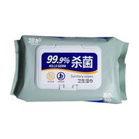 Flushable Wet Wipes Hand Sanitizer Wipe Pocket Size Travel Pack Portable Moist Wipe Swabs Pads Wipes for Phone, Elevator, Keyboard, Toy, Refrigerator