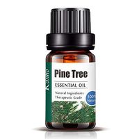 HuntGold Essential Oils Pure Natural Aromatherapy Gift Set Diffuser Massage Skin Hair Care Home 10ml -Pine tree