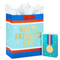 Hallmark Large Father's Day Bag with Tissue Paper and Fathers Day Card (Great Dad)