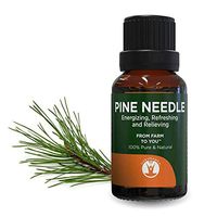 GuruNanda Pine Needle Essential Oil - Therapeutic Grade Aromatherapy Essential Oils - Undiluted - 100% Pure and Natural 15ml (Pine Needle, 1)