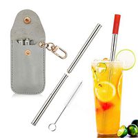 Metal Straws Reusable with Tips Case and Brush, Stainless Steel Straw Telescopic, Food Grade Collapsible Straws for 30oz Yeti/Smoothie - Grey